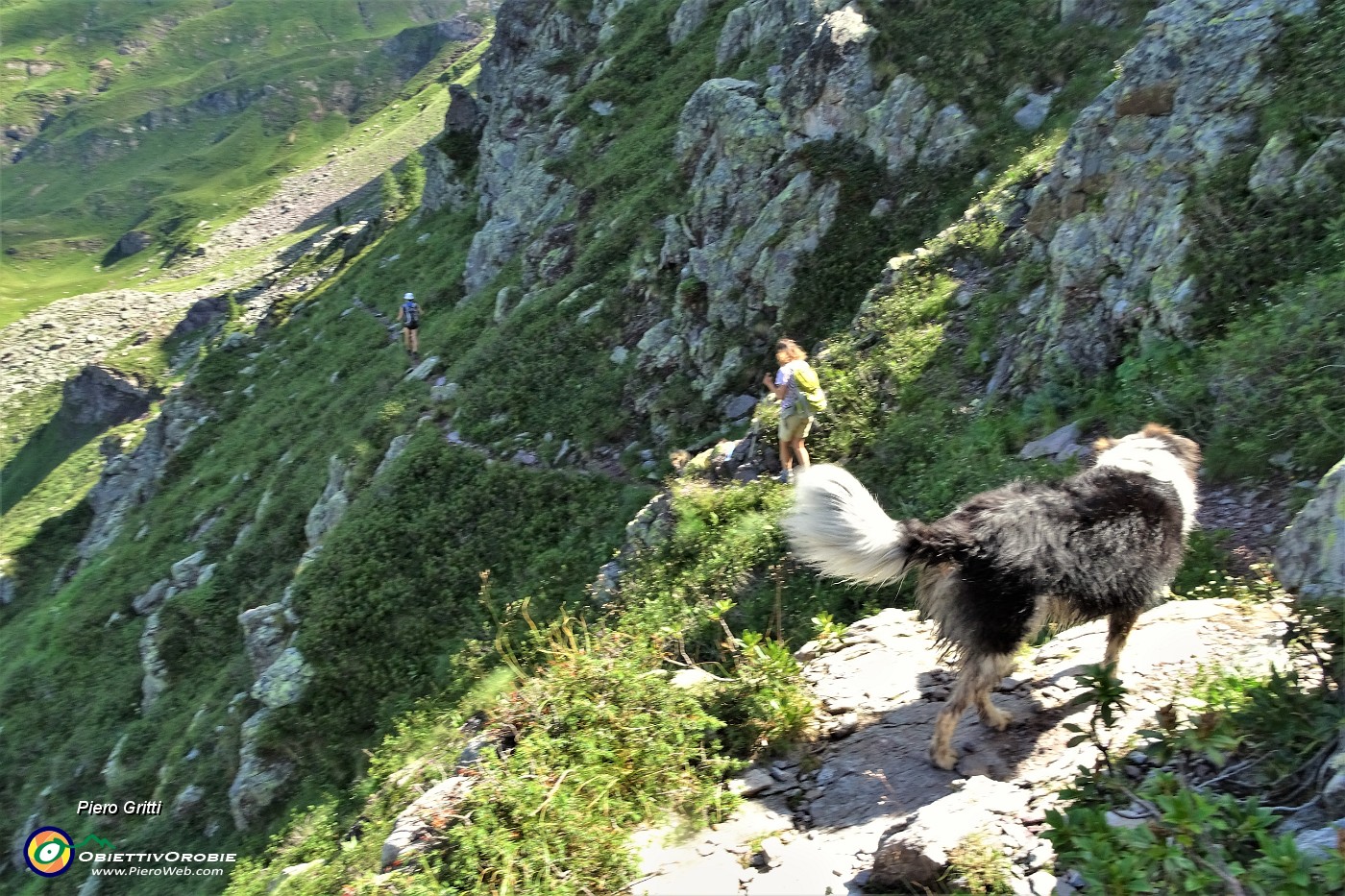 42 Sentiero in traverso sui ripidi pendii del versante nord del Monte Corte.JPG